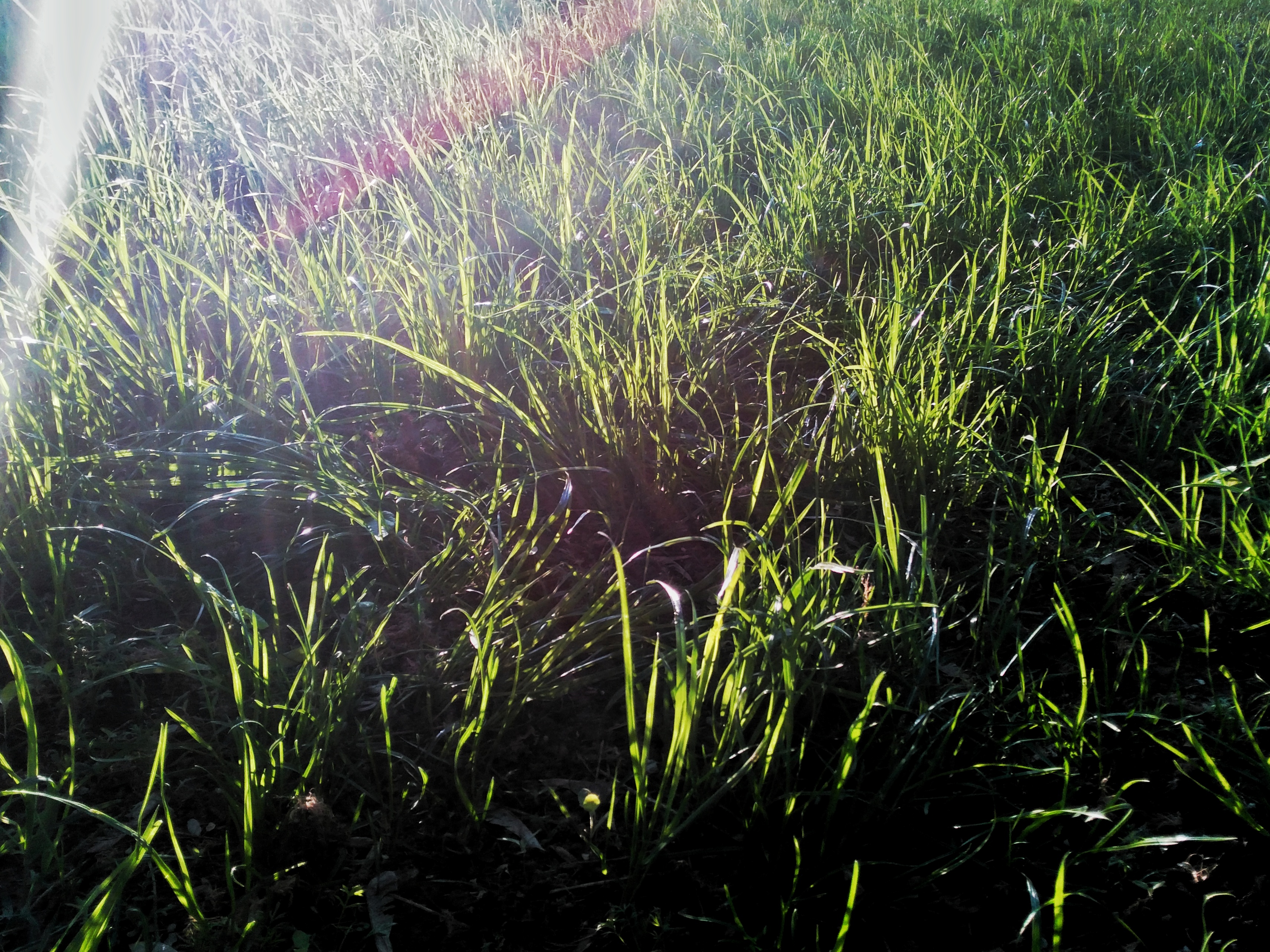 IMG_20180509_193313-01